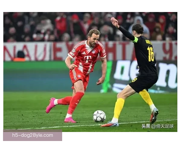 凯恩职业生涯500球 点球百球创四项纪录