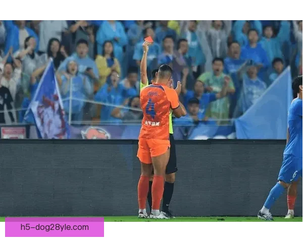 安德莱赫特裁判球迷齐铲雪保赛