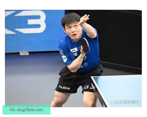 樊振东首配失利萨尔布吕肯出局